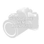 Chata se stavebnm pozemkem 2075 m2, Bezov Oleko, Praha - zpad k prodeji